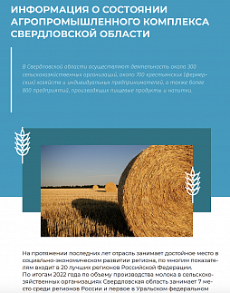 Информация о состоянии агропромышленного комплекса в Свердловской области по итогам 2023 года - ознакомительный фрагмент презентации - 1